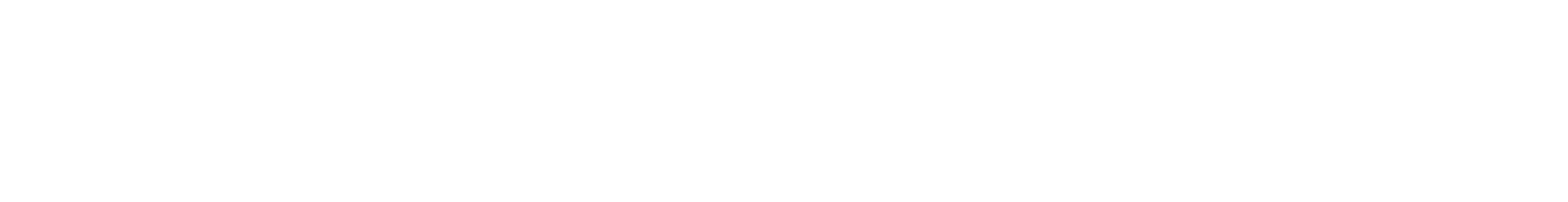 The Black Pug